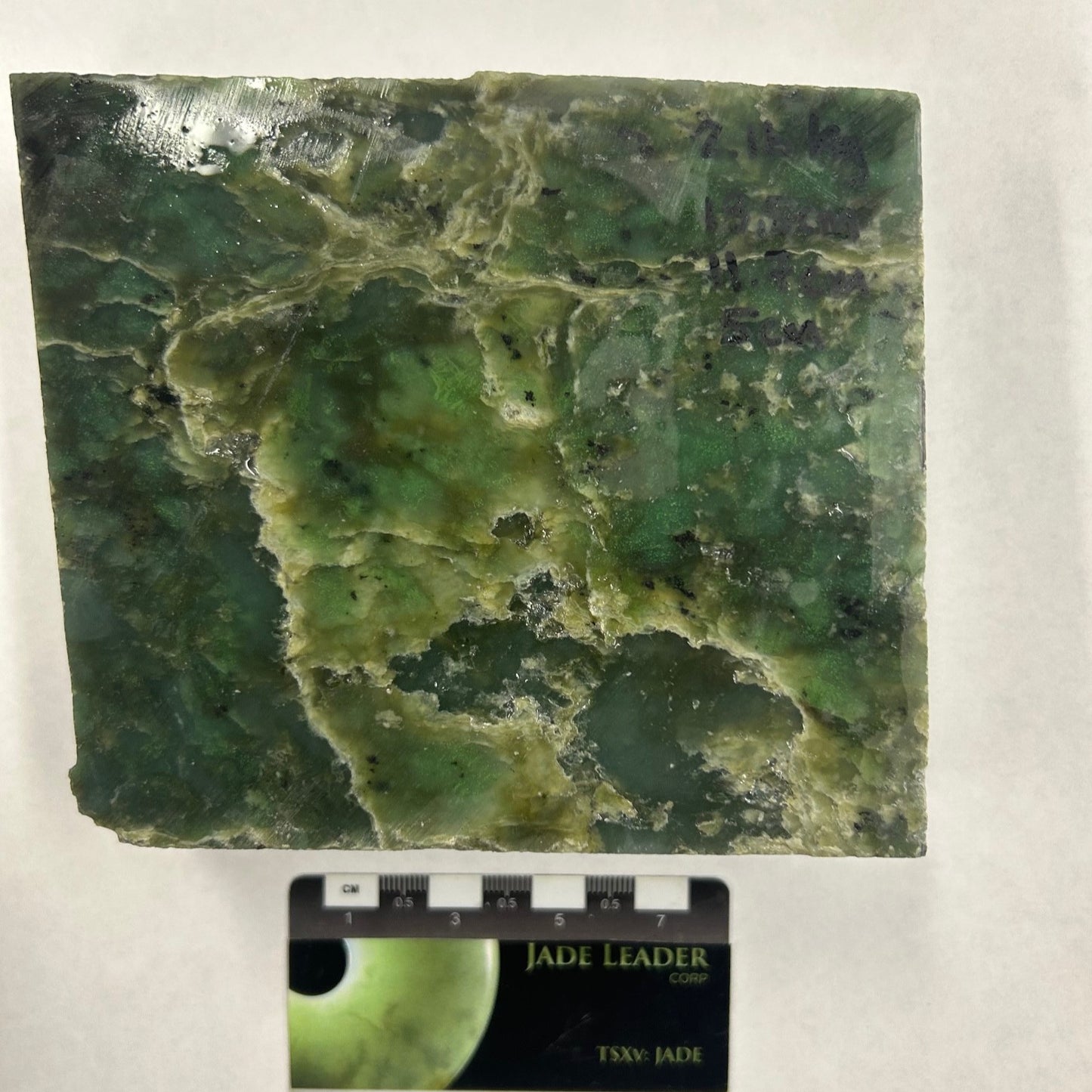 Washington State White/Green Jade 1016