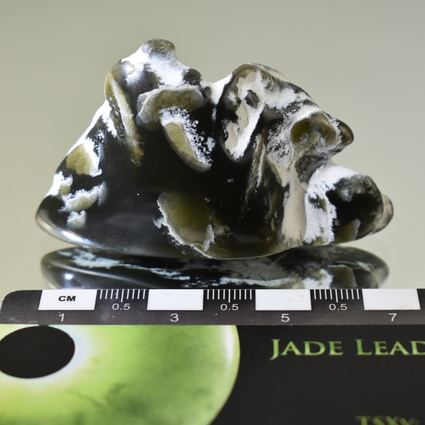 Jade Tumbled Gem / Carving Stone 2071